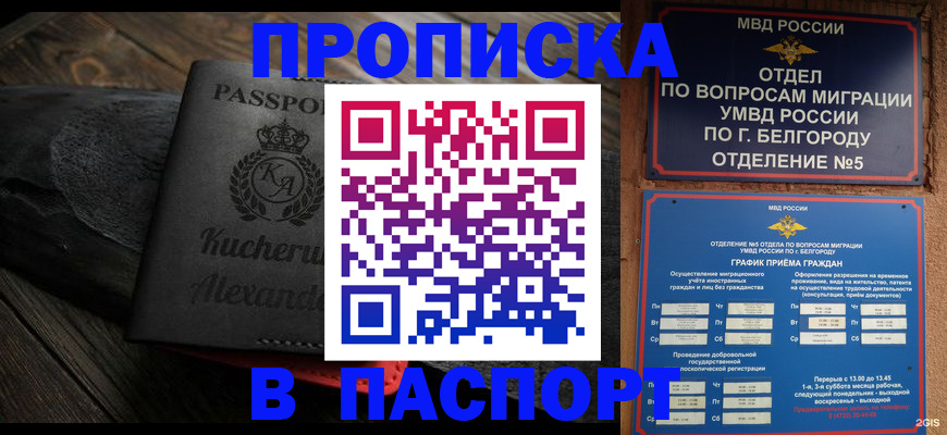 прописка 2025 в Павлово